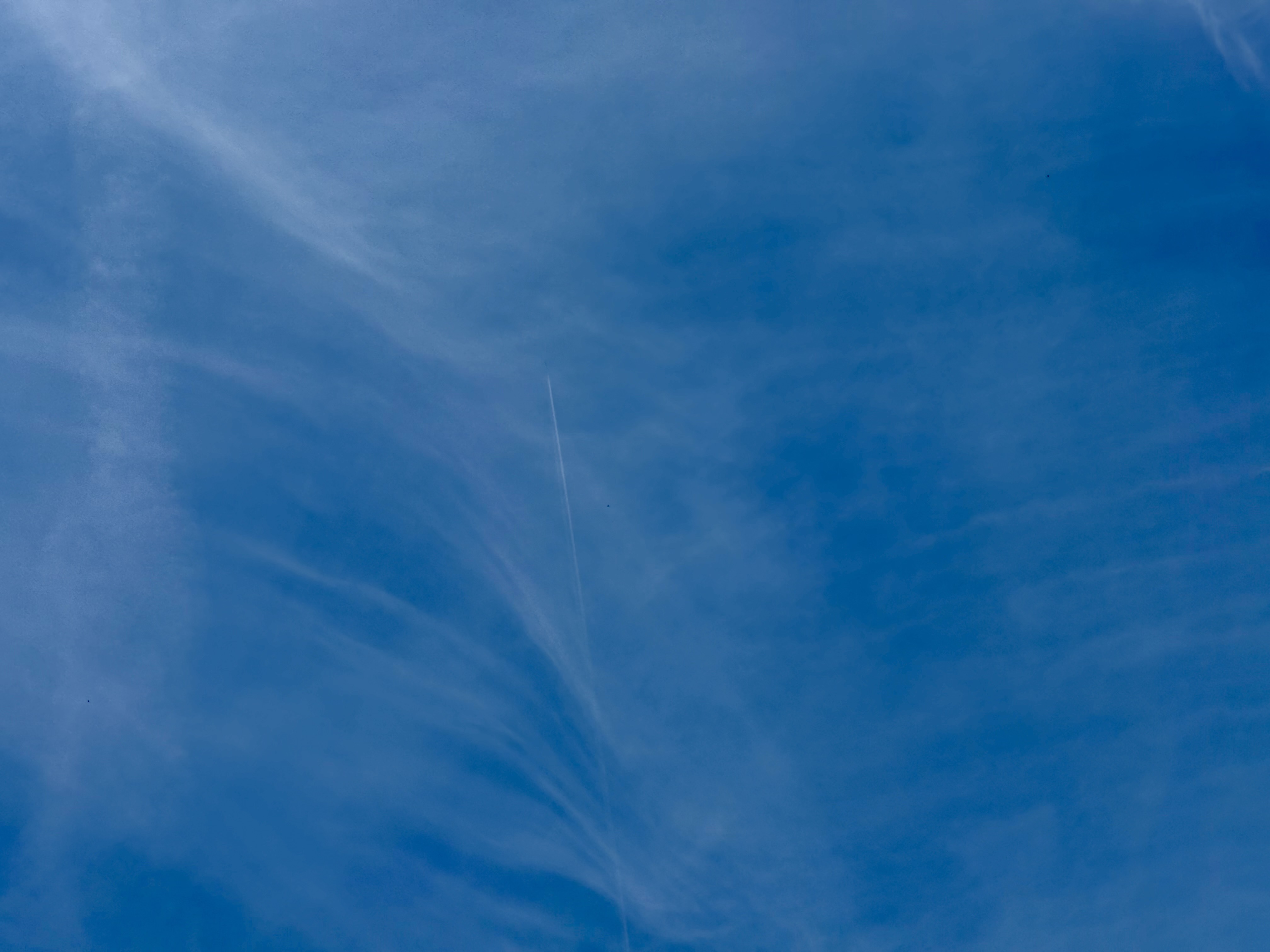 frenzied opulent geriatric