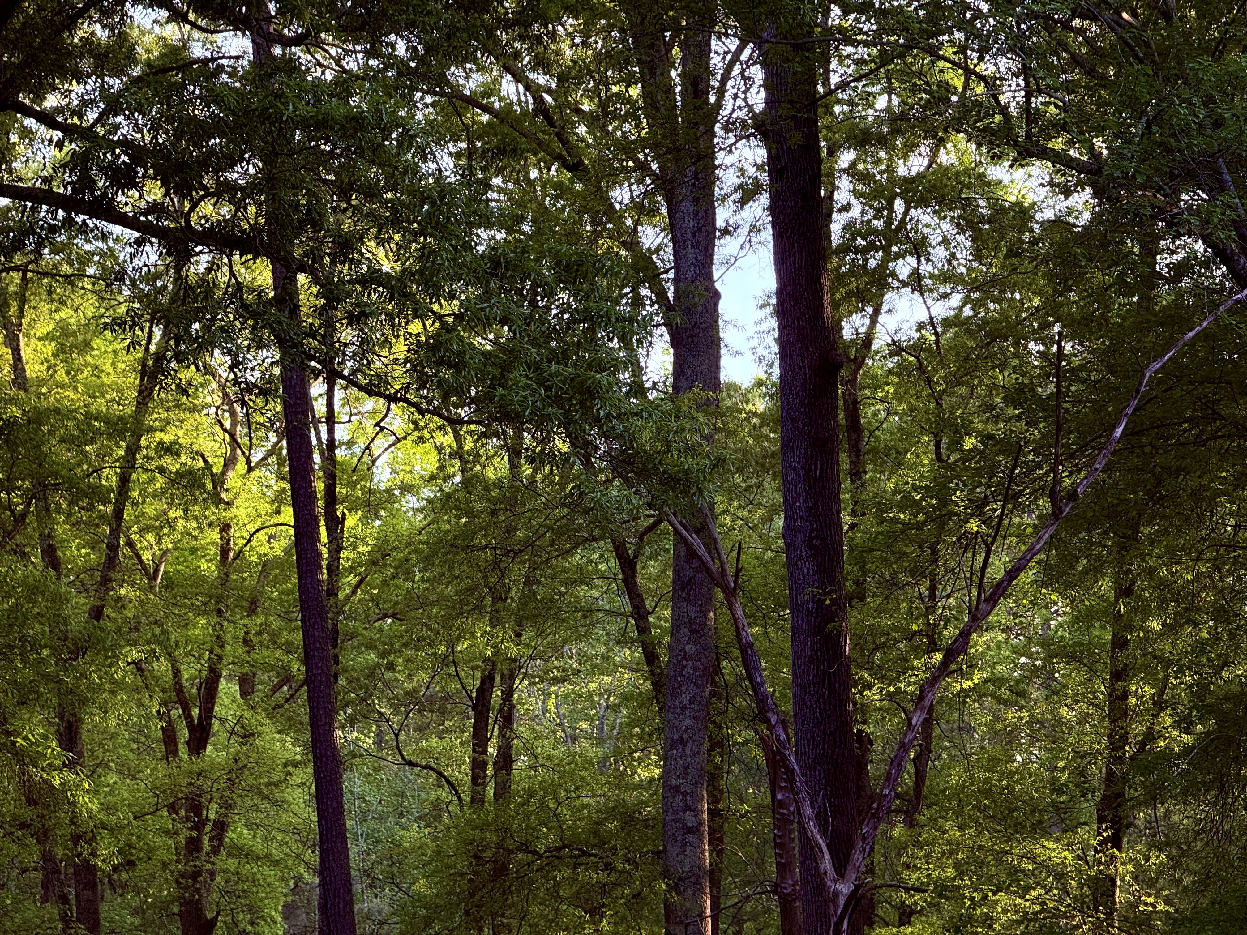 reasons to keep trying 2