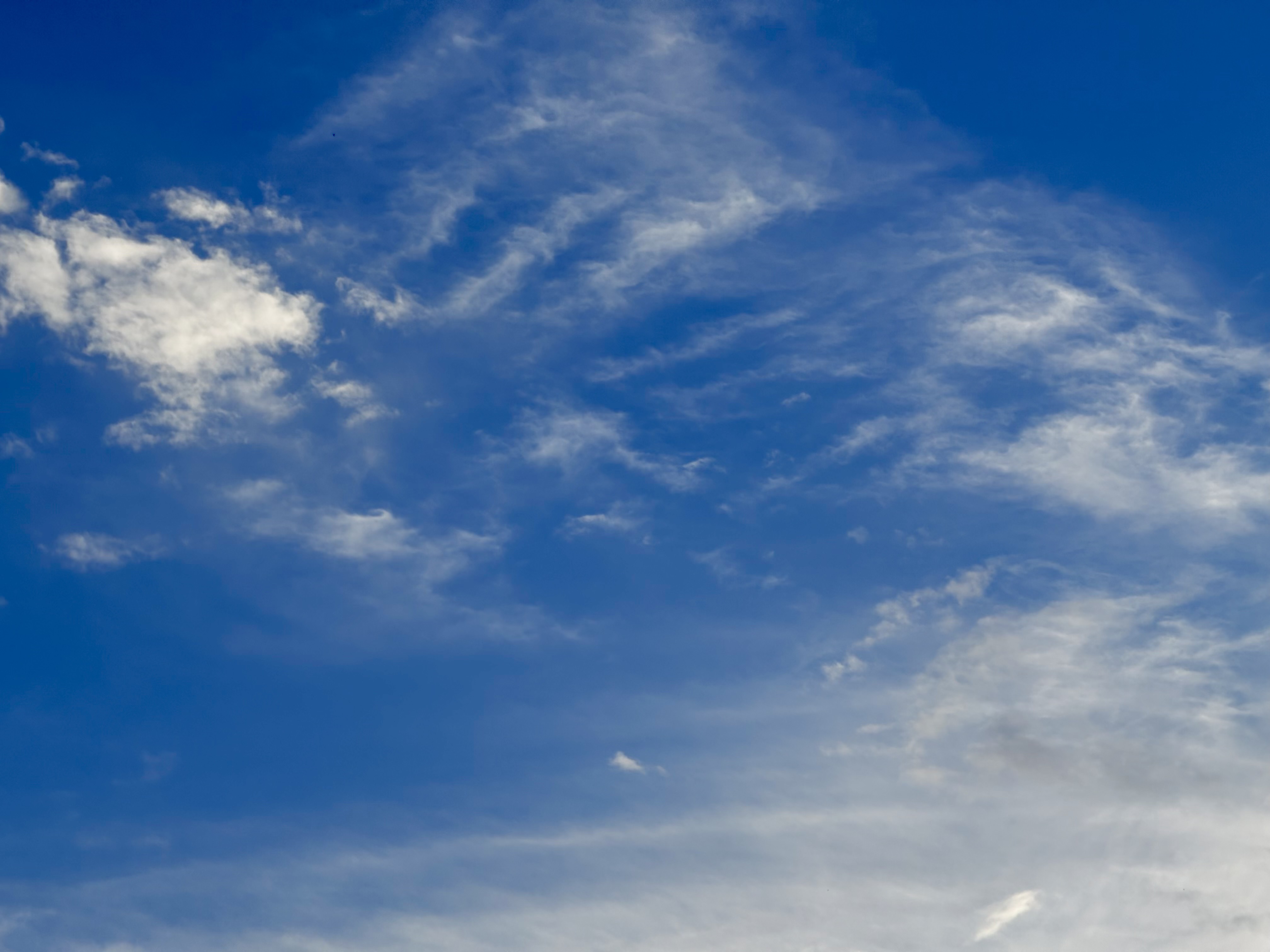 mushroom duster hella