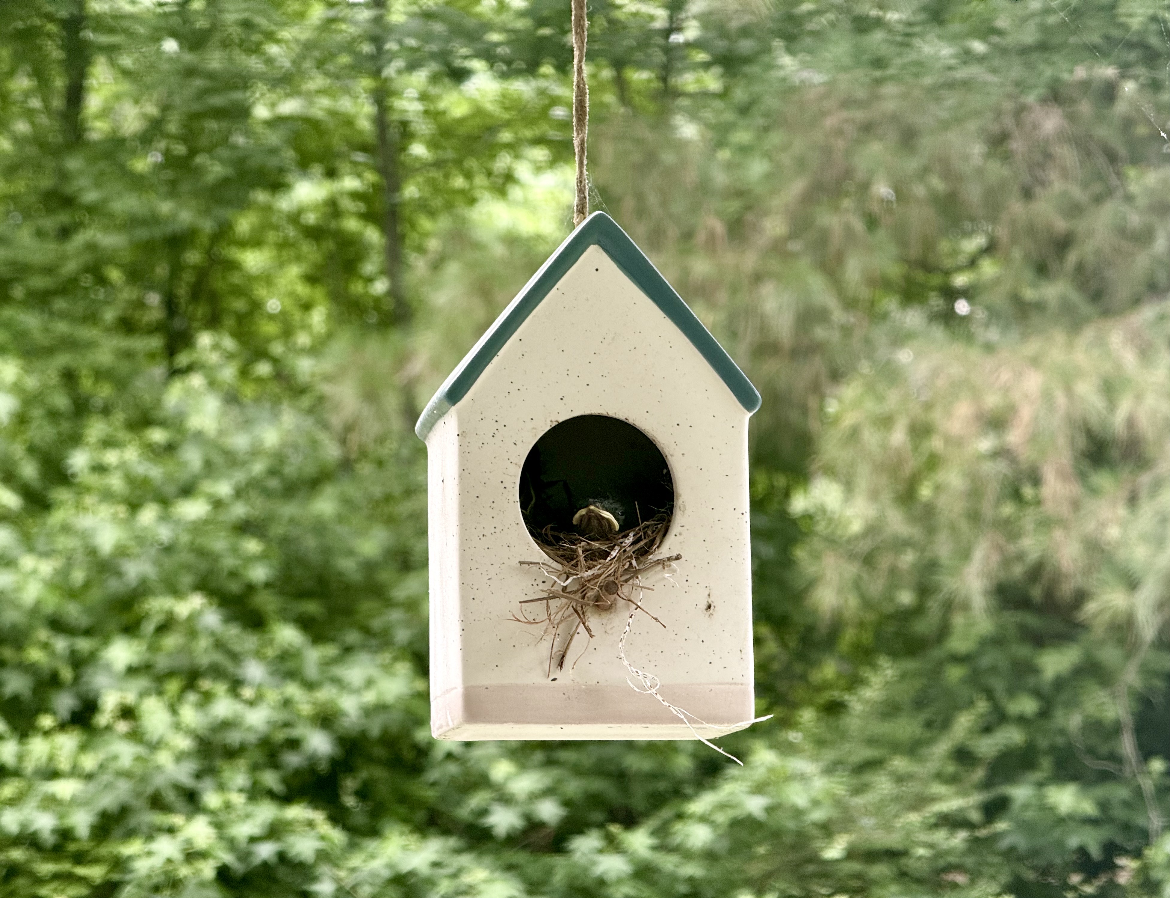 shelter in place