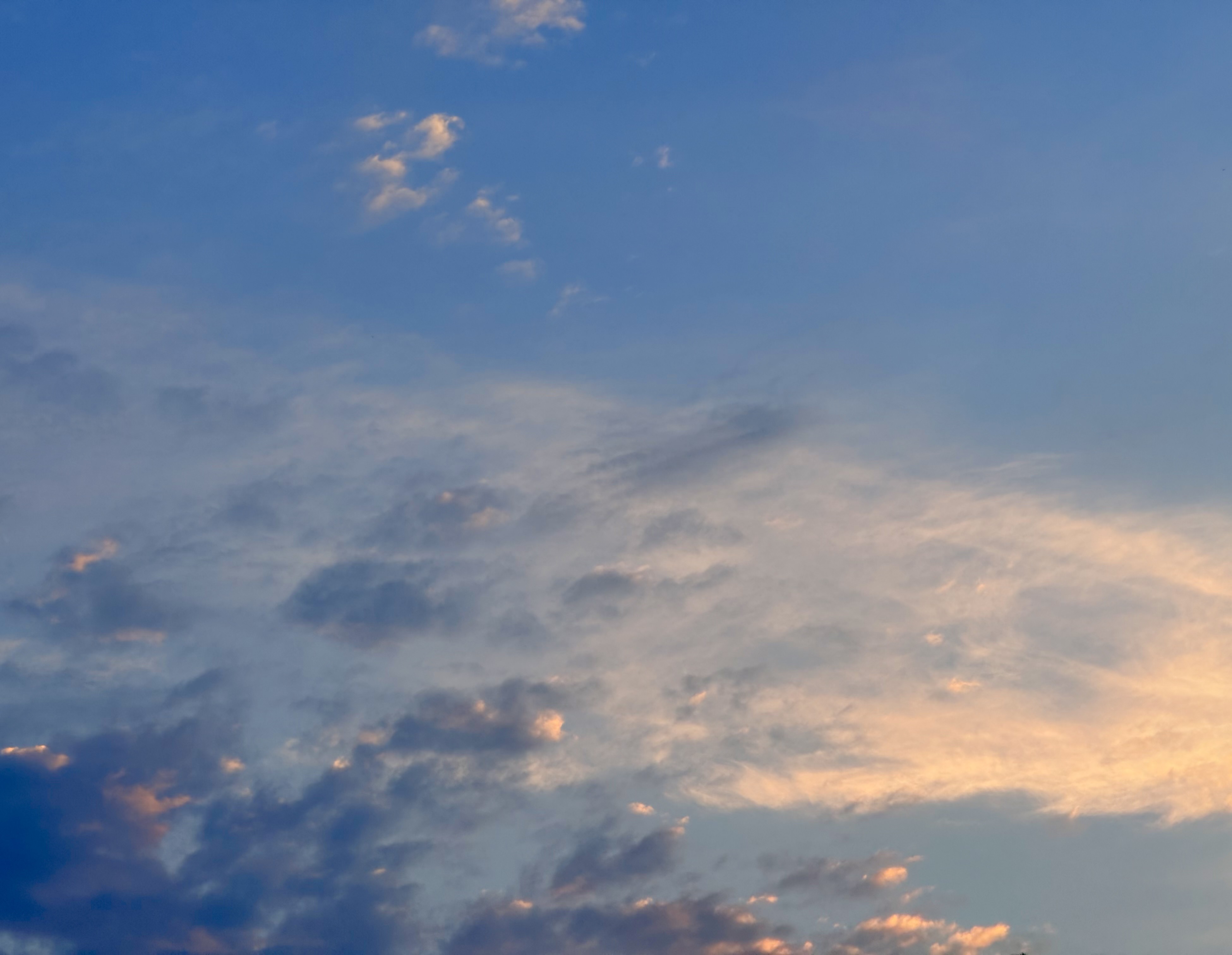 gratitude perplex