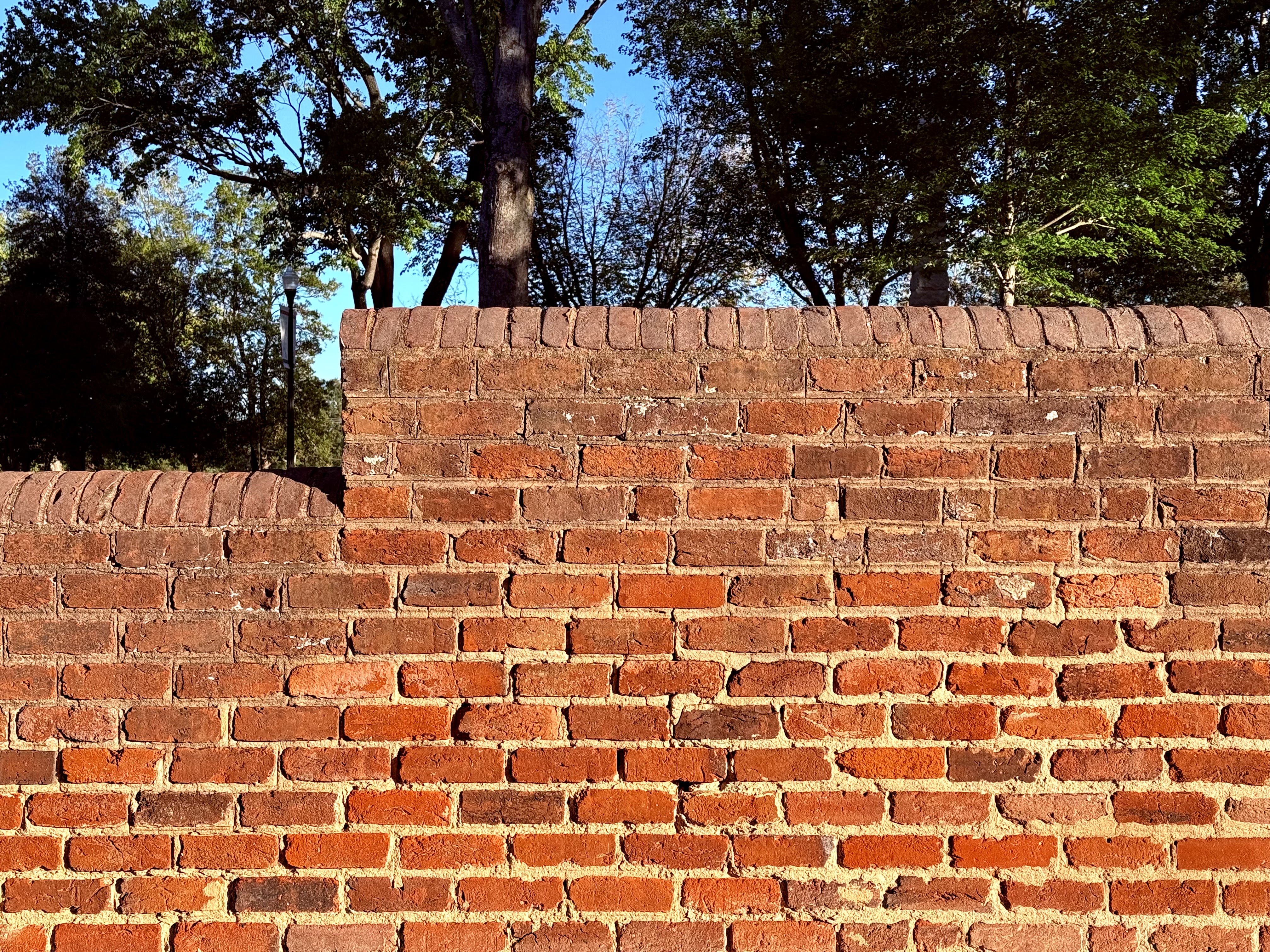 bonded verilux